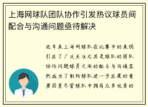 上海网球队团队协作引发热议球员间配合与沟通问题亟待解决 上海网球队团队协作引发热议球员间配合与沟通问题亟待解决
